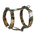 Indián nyár - Kutyahám és Macskahám - april & june