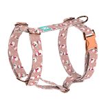 Cuki hóemberek - Kutyahám és Macskahám - april & june