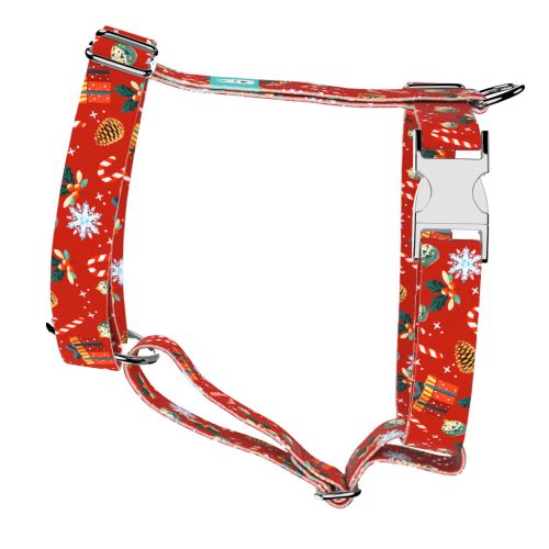 Karácsonyi hangulat - Kutyahám és Macskahám - april & june