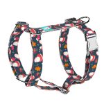 Mikulás - Kutyahám és Macskahám - april & june