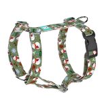 Téli fenyves - Kutyahám és Macskahám - april & june