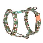 Téli fenyves - Kutyahám és Macskahám - april & june