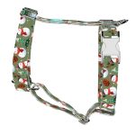 Téli fenyves - Kutyahám és Macskahám - april & june