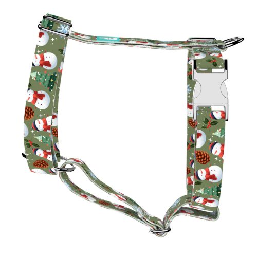 Téli fenyves - Kutyahám és Macskahám - april & june