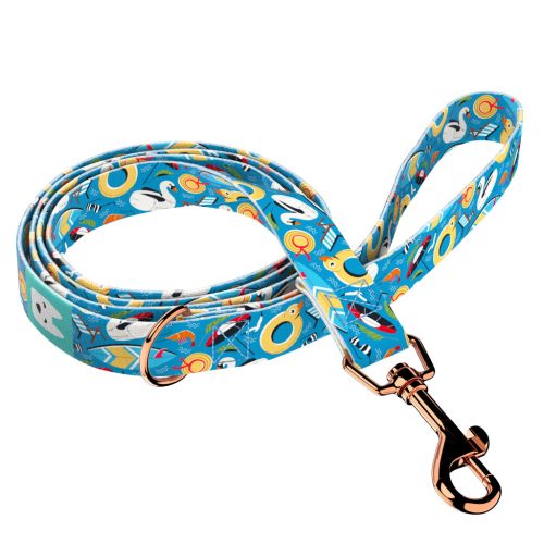 Fun on the beach - Leash - april & june