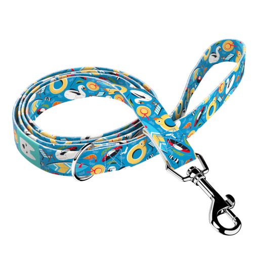 Fun on the beach - Leash - april & june