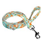 Cute Little Fox Light - Leash - april & june