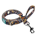 Autumn wild flowers - Leash - april & june