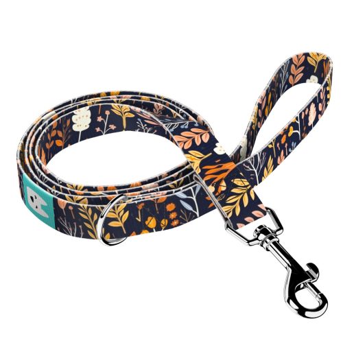  Autumn wild flowers - Leash - april & june