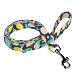 Kék Citrom - Kutya Póráz - Blue Lemon - april & june