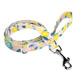 Nyári Citromok - Kutya Póráz - Summer Fresh - april & june