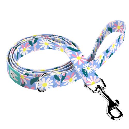 Margaréták - Kutya Póráz - Daisy - april & june