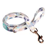 Pastel Galaxy - Leash - april & june