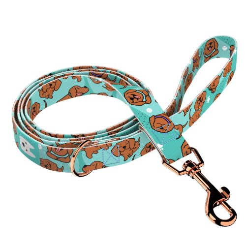 Vizsla, kék - Kutya Póráz - Vizsla, blue - april & june