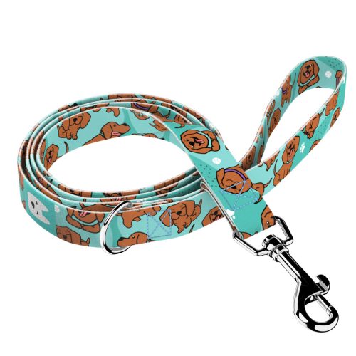 Vizsla, blue - Leash - april & june