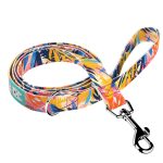 Színes nyári este - Kutya Póráz - Colorful summer nights - april & june