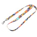 Színes nyári este - Kutya Póráz - Colorful summer nights - april & june