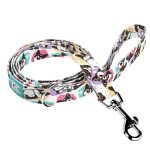 Cardigan Welsh Corgi - Kutya Póráz - april & june