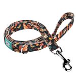 Erdei állatok - Kutya Póráz - Forest friends - april & june