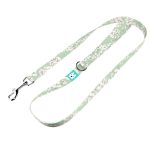 Tavaszi virágzás - Kutya Póráz - april & june