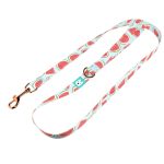 Dinnye - Kutya Póráz - Watermelon - april & june