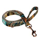 Indián nyár - Kutya Póráz - Indian summer - april & june