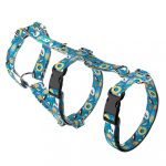 Fun on the beach - Safety Harness - april & june