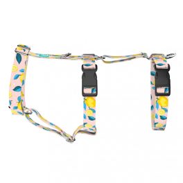 Summer Fresh - Safety Harness - april & june