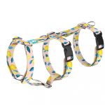 Summer Fresh - Safety Harness - april & june