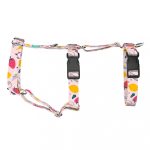 Summer fruits - Safety Harness - april & june