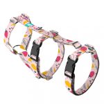 Summer fruits - Safety Harness - april & june