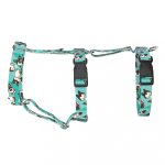 Pembroke Welsh Corgi, tricolor, blue - Safety Harness - april & june