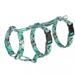 Pembroke Welsh Corgi, tricolor, blue - Safety Harness - april & june