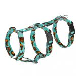 Dachshund, blue - Safety Harness - april & june