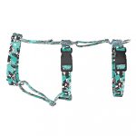 Boston Terrier, blue - Safety Harness - april & june