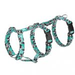 Boston Terrier, blue - Safety Harness - april & june