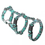 Boston Terrier, blue - Safety Harness - april & june
