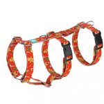 Happy Holidays - Safety Harness - april & june