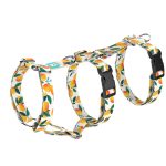 Mangó - Biztonsági Kutyahám és Macskahám - Mango - april & june