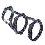 Boszorkány - Biztonsági Kutyahám és Macskahám - Witchy - april & june