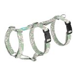 Tavaszi virágzás - Biztonsági Kutyahám és Macskahám - april & june