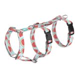 Dinnye - Biztonsági Kutyahám és Macskahám - Watermelon - april & june