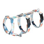 Pasztell kék és barack - Biztonsági Kutyahám és Macskahám - Pastel blue and peach - april & june