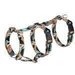 Naplemente - Biztonsági Kutyahám és Macskahám - april & june