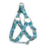 Balatoni nyár - Belelépős Kutyahám - Fun on the beach - april & june