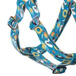 Balatoni nyár - Belelépős Kutyahám - Fun on the beach - april & june