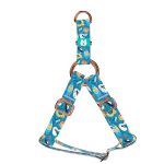 Balatoni nyár - Belelépős Kutyahám - Fun on the beach - april & june