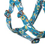 Balatoni nyár - Belelépős Kutyahám - Fun on the beach - april & june