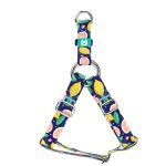 Kék Citrom - Belelépős Kutyahám - Blue Lemon - april & june