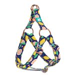 Blue Lemon - Step-in harness - april & june
